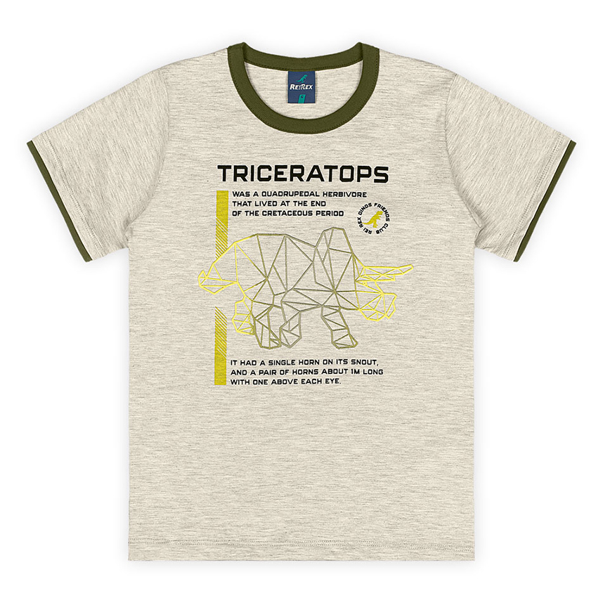 Camiseta Infantil Reirex Meia Malha Estampa Dinossauro
