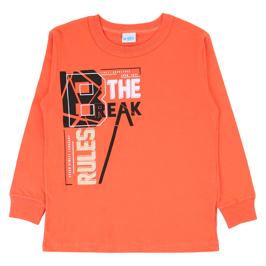 Camiseta Manga Longa Infantil Gijo Meia Malha Estampada