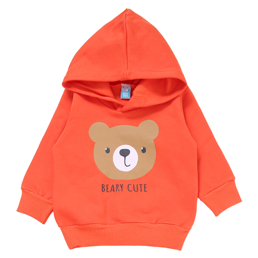Conjunto Bebê Din Don Blusão Urso Capuz E Calça Em Moletom