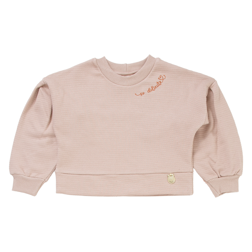 Conjunto Infantil Angerô Blusão Manga Princesa Com Saia