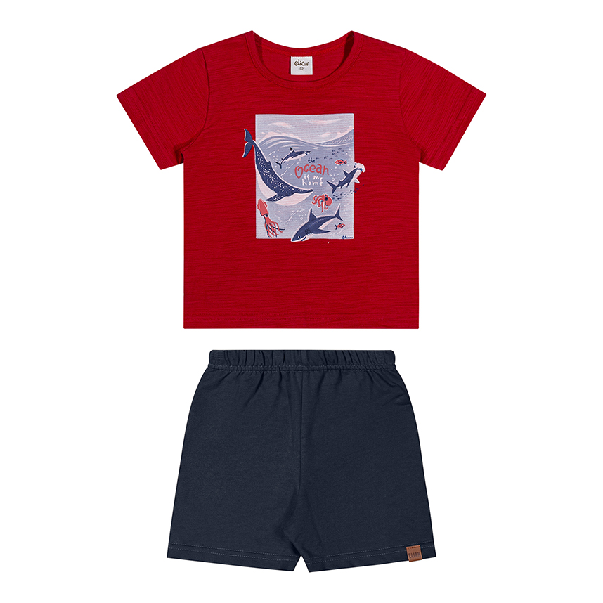 Conjunto Infantil Elian Camiseta Flamê E Bermuda Moletom