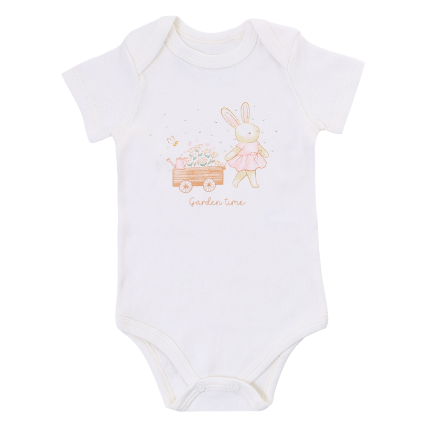 Conjunto Bebê Iaze Body Manga Curta Coelho E Jardineira