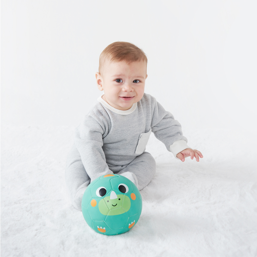 Bola Infantil Zoo Com Estampa De dinossauro Bola Infantil Zoo Com Estampa De dinossauro