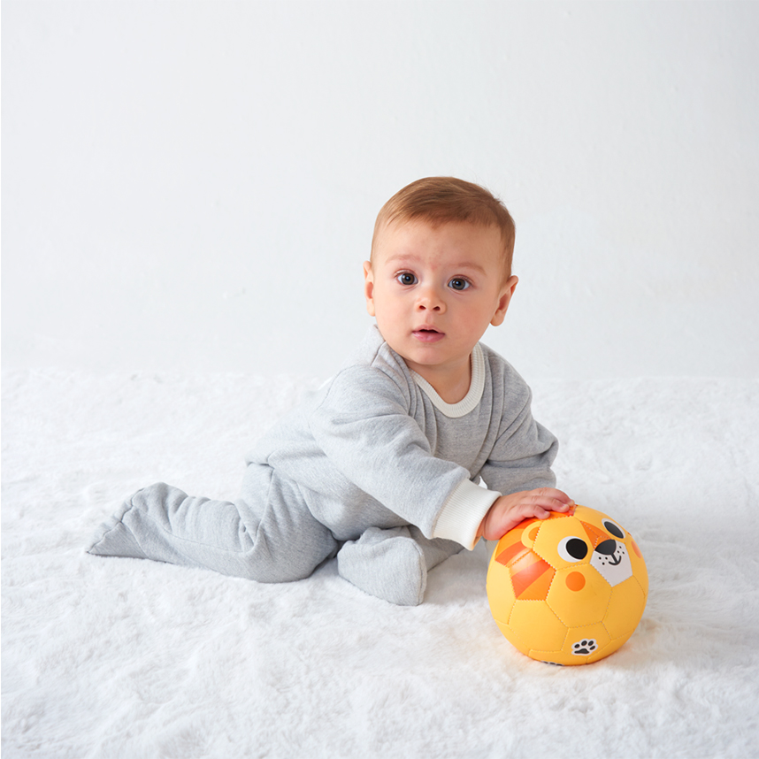 Bola Infantil Zoo Com Estampa De Leão Bola Infantil Zoo Com Estampa De Leão