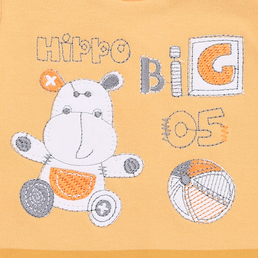 Banho De Sol Petutinha Vaquinha Big Bola E Listras Banho De Sol Petutinha Vaquinha Big Bola E Listras