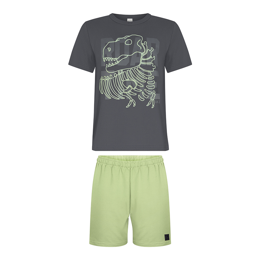 Conjunto Infantil Alakazoo Camiseta Dinossauro E Bermuda Conjunto Infantil Alakazoo Camiseta Dinossauro E Bermuda
