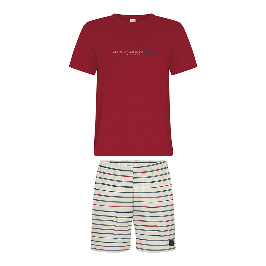 Conjunto Infantil Alakazoo Camiseta E Bermuda Listrada Conjunto Infantil Alakazoo Camiseta E Bermuda Listrada
