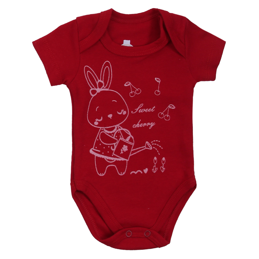 Body Bebê Presente de Anjo Estampa Coelha 3 Peças