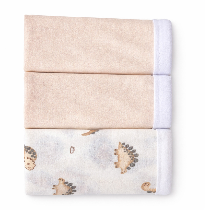 Kit Pano De Boca Bebê Estampa Dinossauro 3 Peças