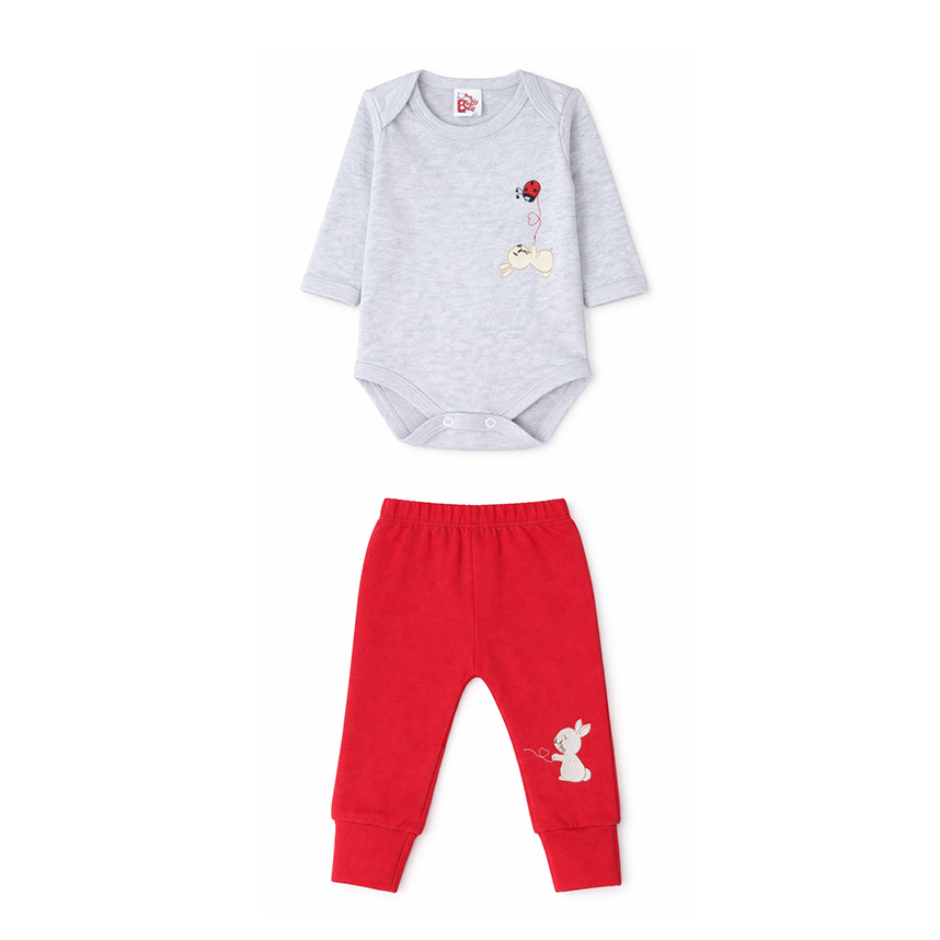 Conjunto Bebê Baby Bee Body Bordado Coelhos E Calça