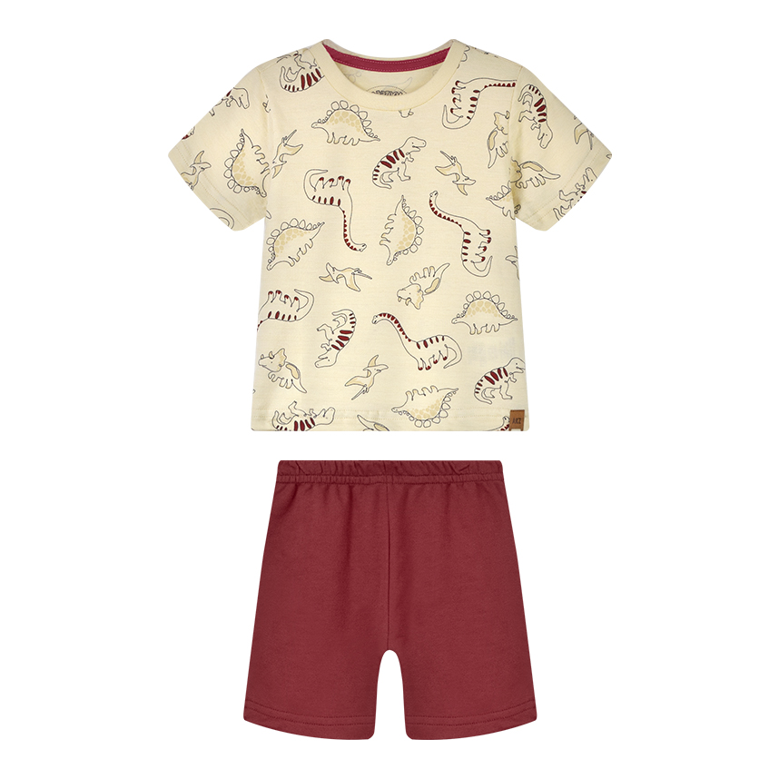 Conjunto Bebê Alakazoo Camiseta Estampa Dino E Bermuda