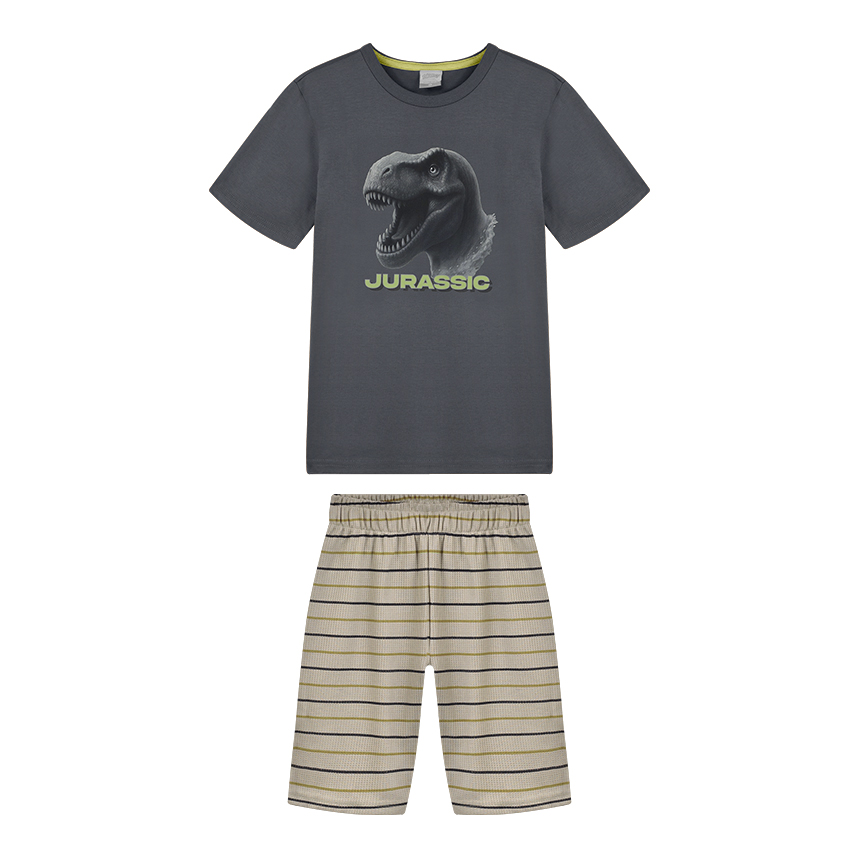 Conjunto Infantil Alakazoo Camiseta Jurassic E Bermuda