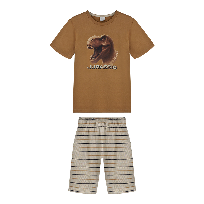 Conjunto Infantil Alakazoo Camiseta Jurassic E Bermuda