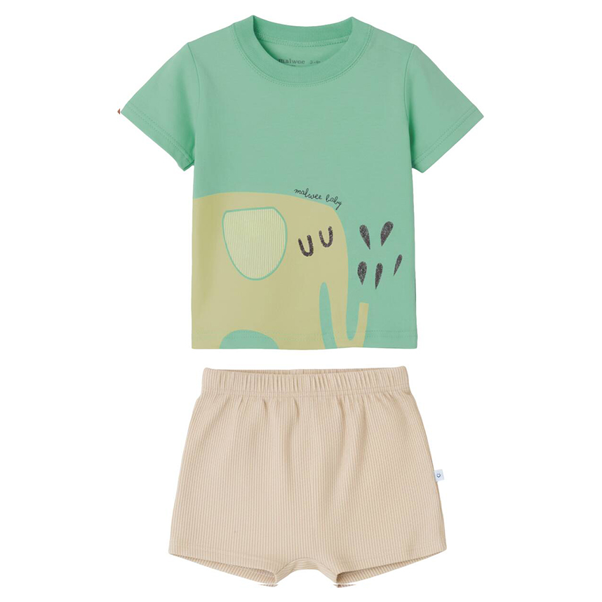 Conjunto Bebê Malwee Camiseta Estampa Elefante E Bermuda