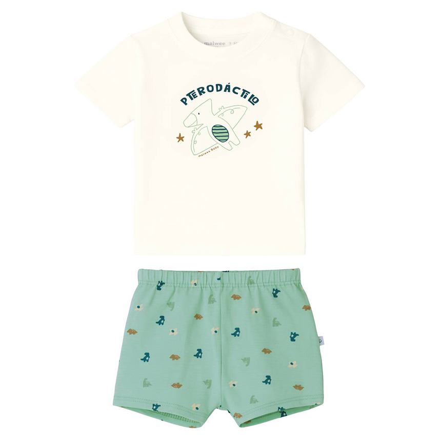 Conjunto Bebê Malwee Camiseta Estampa Pterodáctilo E Bermuda